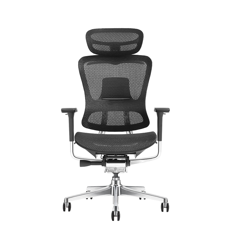 胜豪Pro+砚黑无脚踏 (3)