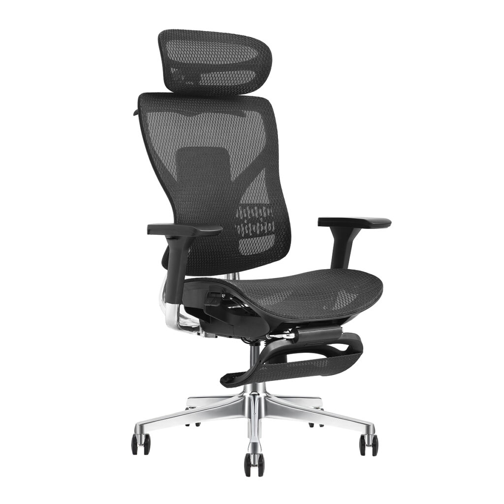 Ergonomic Office Chair Ergolite