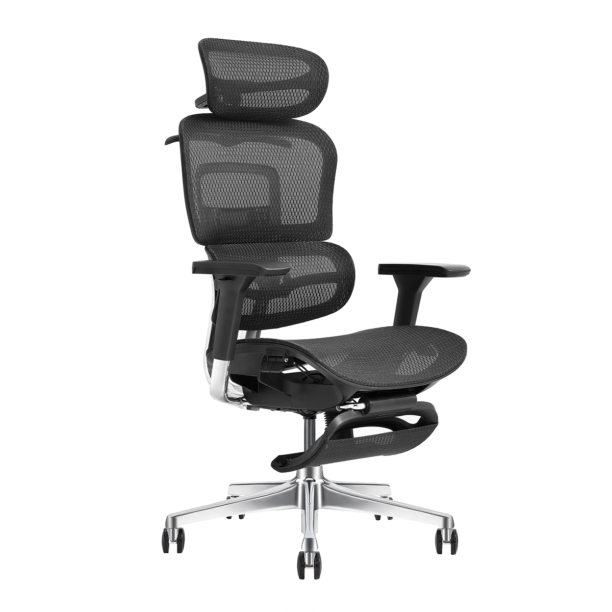 Ergonomic Mesh Chair Ergopax